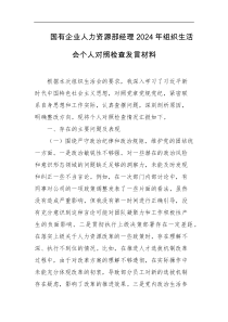 国有企业人力资源部经理2024年组织生活会个人对照检查发言材料