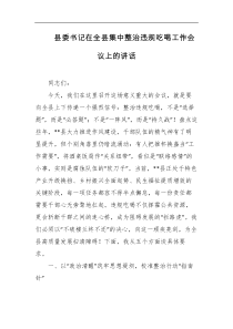 县委书记在全县集中整治违规吃喝工作会议上的讲话