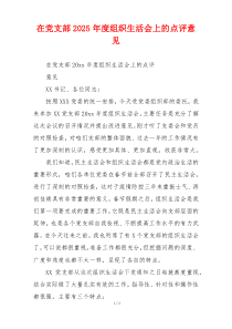 在党支部2025年度组织生活会上的点评意见