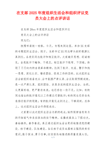 在支部2025年度组织生活会和组织评议党员大会上的点评讲话