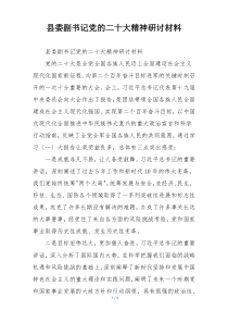县委副书记党的二十大精神研讨材料