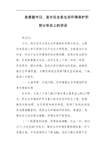 县委副书记县长在全县生态环境保护形势分析会上的讲话
