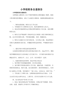 小学校财务自查报告