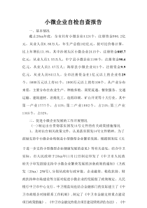 小微企业自检自查报告