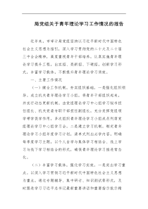 局党组关于青年理论学习工作情况的报告