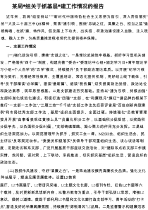 局党组抓基层党建工作情况的报告