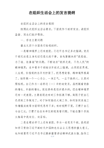 在组织生活会上的发言提纲