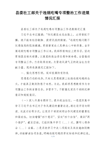 县委社工部关于违规吃喝专项整治工作进展情况汇报