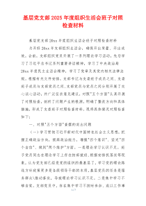 基层党支部2025年度组织生活会班子对照检查材料