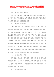 央企支部书记组织生活会对照检查材料