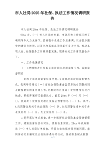 市人社局2025年社保、执法工作情况调研报告