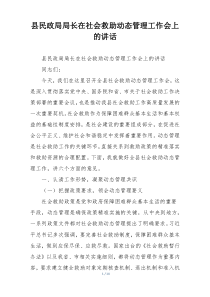 县民政局局长在社会救助动态管理工作会上的讲话