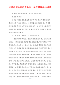 在县政府全体扩大会议上关于抓落实的讲话