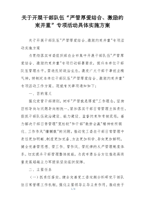 关于开展干部队伍“严管厚爱结合、激励约束并重”专项活动具体实施方案