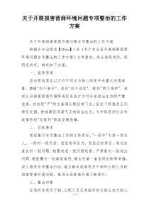 关于开展损害营商环境问题专项整治的工作方案