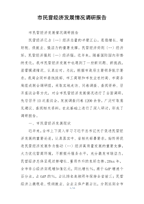 市民营经济发展情况调研报告