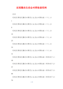 巡视整改生活会对照检查范例