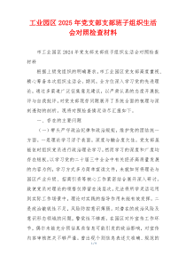 工业园区2025年党支部支部班子组织生活会对照检查材料