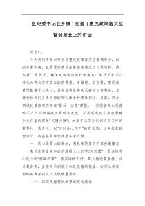 县纪委书记在乡镇街道惠民政策落实监督调度会上的讲话