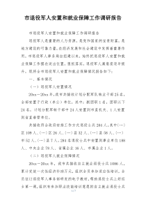 市退役军人安置和就业保障工作调研报告