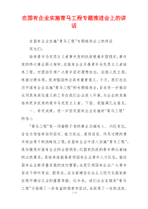 在国有企业实施青马工程专题推进会上的讲话