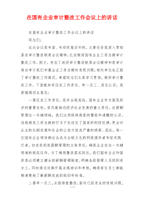 在国有企业审计整改工作会议上的讲话