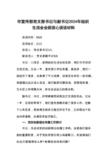 市宣传部党支部书记与副书记2024年组织生活会会前谈心谈话材料