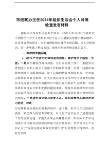 市巡察办主任2025年组织生活会个人对照检查发言材料