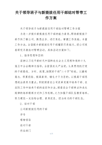 关于领导班子与新提拔任用干部结对帮带工作方案