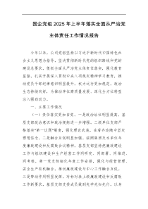 国企党组2025年上半年落实全面从严治党主体责任工作情况报告