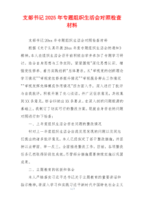 支部书记2025年专题组织生活会对照检查材料