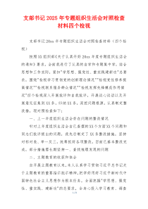 支部书记2025年专题组织生活会对照检查材料四个检视