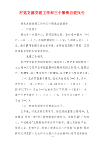 村党支部党建工作和三个聚焦自查报告