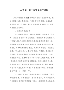 村开展一号文件宣讲情况报告