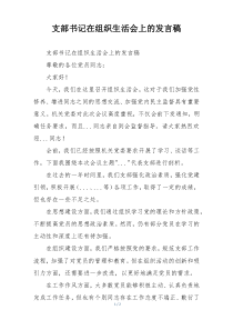 支部书记在组织生活会上的发言稿