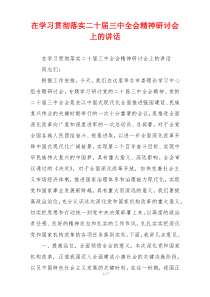 在学习贯彻落实二十届三中全会精神研讨会上的讲话
