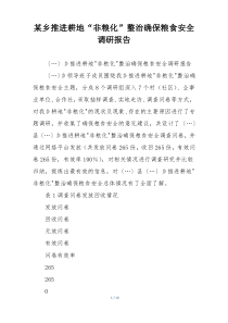 某乡推进耕地“非粮化”整治确保粮食安全调研报告
