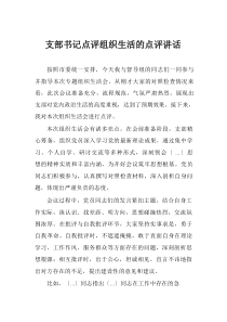 支部书记点评组织生活的点评讲话