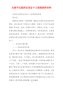 支部书记组织生活会个人检视剖析材料