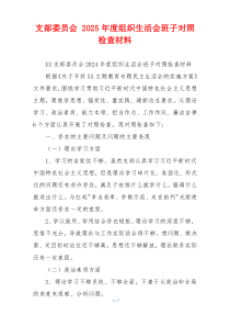 支部委员会 2025年度组织生活会班子对照检查材料