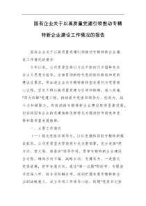 国有企业关于以高质量党建引领推动专精特新企业建设工作情况的报告