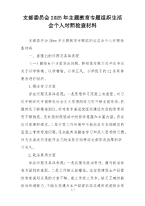 支部委员会2025年主题教育专题组织生活会个人对照检查材料