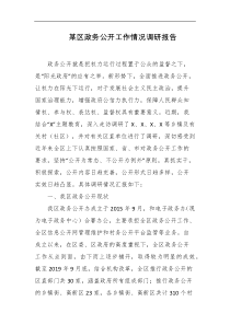 某区政务公开工作情况调研报告