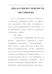 国有企业关于推进青马工程强化青年干部培养工作情况的报告