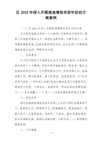 区2025年深入开展提速增效攻坚年活动方案案例