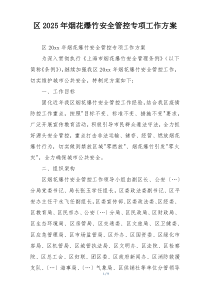 区2025年烟花爆竹安全管控专项工作方案