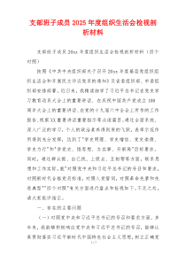 支部班子成员2025年度组织生活会检视剖析材料