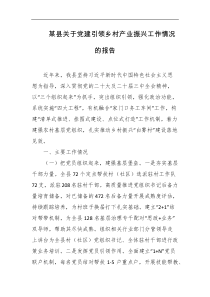 某县关于党建引领乡村产业振兴工作情况的报告