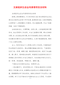 支部组织生活会列席领导发言材料