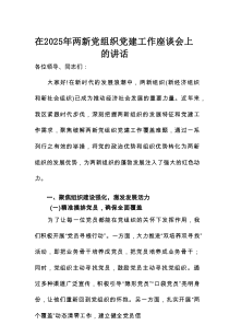 在2025年两新党组织党建工作座谈会上的讲话